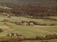 97. Sørli - Bingen WF495.jpg