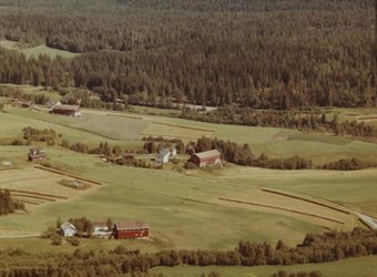 Sørli - Bingen WF495.jpg