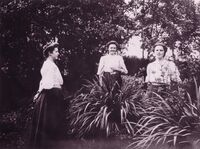 Søstrene Marie, Signe og Johanne Møller i prestegårdshagen sommeren 1910.