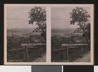 79. S. 27 - Molde stereofotografi - no-nb digifoto 20150803 00289 bldsa stereo 0579.jpg