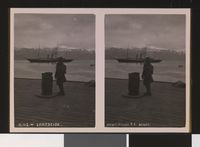 19. S. 42 - Lyngseide stereofotografi - no-nb digifoto 20150805 00290 bldsa stereo 0652.jpg