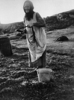 S034.167.2.CD 09 001.jpg