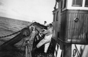 S068.168.4.CD 01 036.jpg