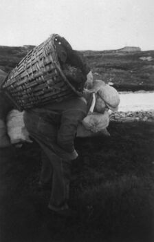 Karsten Thoresen med kipa full av torv. Torv vart brukt som brensel til siste halvdel av 1950-talet.