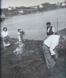 Onn på Strengen, frå venstre Margit, Gunn, Lovise og Hans, med stuttorven. Bakom ligg Smiholmen, Kleiva og Sulo med frå venstre bnr 55, bnr 66, bnr 57, bnr 65, bnr 15 og bnr 44.