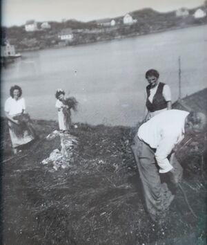 S114.168.7.IMG 6700.JPG