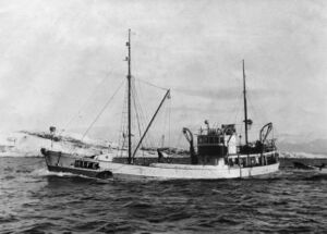 M/S «Hellesøy» H-1-FE, byggeår 1947, 81 fot lang, motor 120 HK Helset. Eigarar Mons, Magnus, Alfred, Johannes, Kåre og Jakob Storemark. Båten vart seld i 1960.