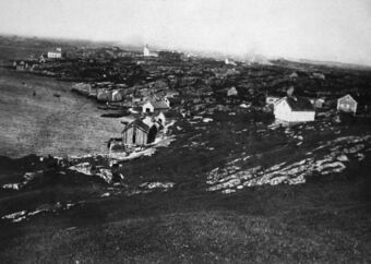 S130.168.11.CD 02 020.jpg