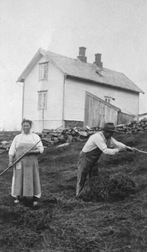 S131.168.11.CD 01 046.jpg