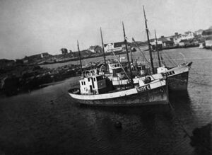 Bakarst M/S «Norøysund», så M/S «Hellesøy», framme M/S «Feiøy» H-10-FE, byggeår 1948, lengd 65 fot, motor 50 HK Wickman. Eigarar Arthur Husa, Johan Olsen Husa, Karl Kristensen og Albert Husa. Dei hadde òg ein annan «Feiøy» H-10-AM, byggeår 1936, lengd 60 fot, motor 40 HK Wickman. Arthur reiste til Shetland med den i 1941, med mange feiingar om bord, sjå Fedjeboka s 270. Denne båten forliste i 1943.