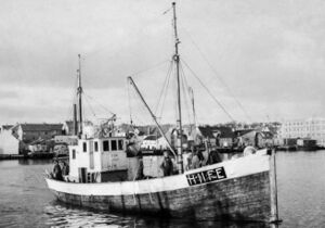 M/K «Finn» H-116-AM, seinare H-11-FE, byggeår 1920, lengd 47 fot, motor 30 HK Wickman. Eigarar Mikal Eide, Mikal Tangen, Elias, Oluf og Olai Ophaug. Båten vart ombygd i 1948 med lengd 60 fot og motor 40 HK Wickman. Dei nye eigarane var Gotfred, Georg og Karl Tangen, seinare Gotfred og Georg Tangen.