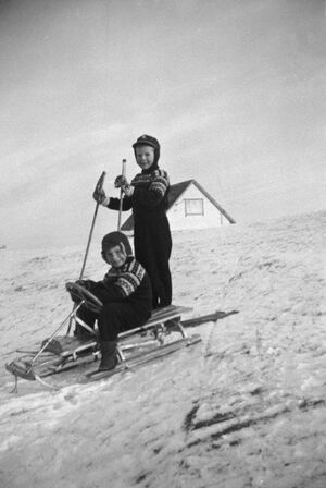 S325.169.1.CD 09 061.jpg