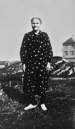 S325.169.1.CD 12 070.jpg