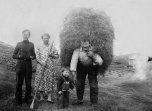 S379.169.31.CD 06 019.jpg