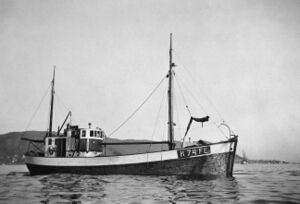 Frå vintersildfisket i 1951 på Møre med M/S «Langedal» H-74-FE, byggeår 1950, lengd 69 fot, motor 120 HK Hjelset. Eigarar Herman Langedal, Norvald Moldøen, Håkon Koppen. Båten forliste i 1952.