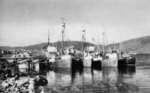 Tre Fedje-båtar på Shetland. Frå venstre «Sversling», «Nordøysund» og «Feiøy».
