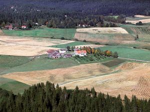 SOLBERG GÅRD.jpg