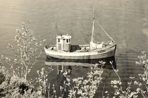 Safir rigga for not.jpg