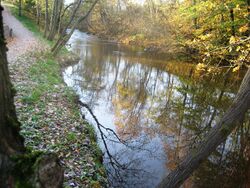 Sagelva i Strømmen på et rolig parti ved Flaen.