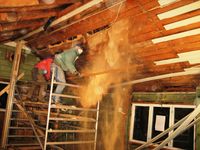 Himlingen var råteskadet og måtte fjernes, her får de sagflis fra 1895 i hodet.