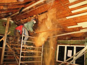 Sagflis fra 1895 i hodet.JPG