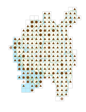 Sagina procumbens.png