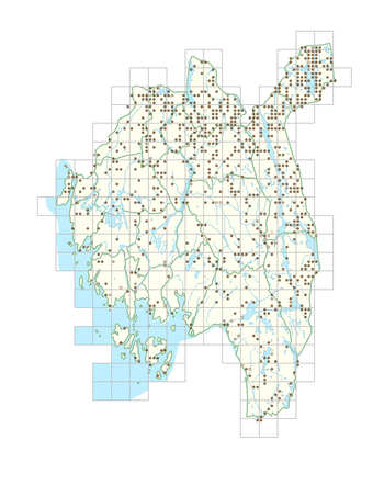Salix myrsinifolia subsp. myrsinifolia 1.png