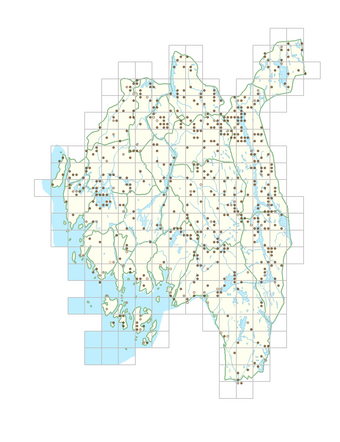 Salix pentandra 1.png