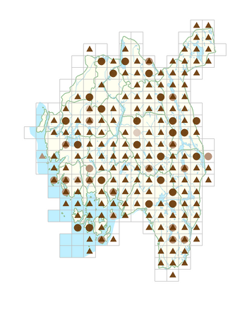 Salix repens var. repens.png