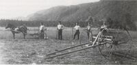 Slåttonn på prestegårdsjorda i 1905. Foto A. Jensen