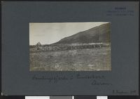 1. Samlingsgjærde i Liveltskarvet, Bardu - no-nb digifoto 20160316 00559 bldsa NGU0020.jpg