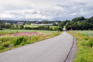 Sandefjord, Bredholtveien-1.jpg