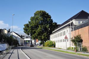 Sandefjord, Museumsgata-1.jpg