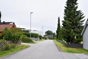 Sandefjord, Nordre Gjekstadskog-1.jpg