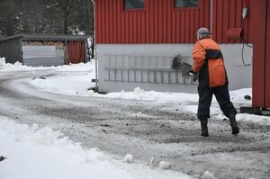 Sandstrøing i Høydalen 2163.JPG