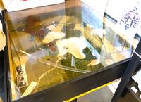 Sandtaket historisk modell laget av Flisespikkerlauget, Strømmen på oppdrag fra Skedsmo historielag.