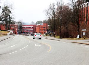 Sandviksveien Bærum 2016.jpg