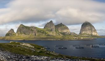 Sanna Sande Træna 19.08.2012.jpg