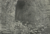 Firkantede kyr på Sanna i Træna, rundt 1892