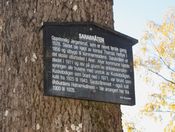 Skilt ved Sarabråten. Foto: Stig Rune Pedersen