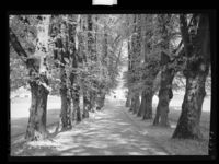 51. Sarpsborg - no-nb digifoto 20160511 00014 NB MIT FNR 04229.jpg