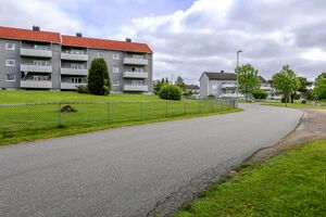 Sarpsborg Struerveien 220609.jpg