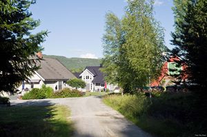 Sauherad, Hørtemogane-1.jpg