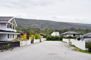 Sauherad, Haslekåsvegen-1.jpg