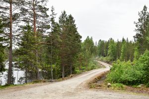 Sauherad, Holtandamtjønnvegen-1.jpg