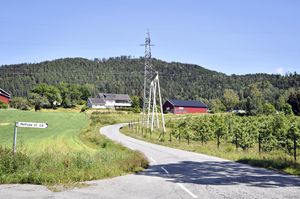Sauherad, Holtsåsvegen-1.jpg