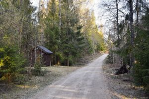 Sauherad, Hvitsandvegen-1.jpg