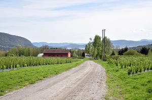 Sauherad, Jonsåsvegen-1.jpg
