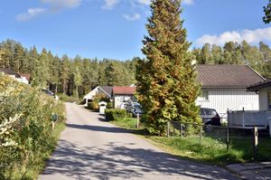 Sauherad, Kvernhusvegen-1.jpg