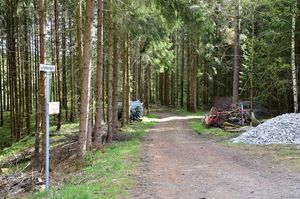 Sauherad, Lyngnesvegen-1.jpg